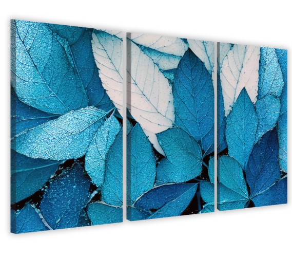 Obrazy tryptyki na ścianę błękit liści