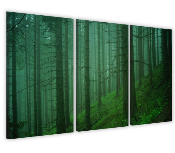Obrazy tryptyki na ścianę zieleń lasu Naklejkomania - zdjecie 1
