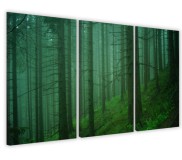 Obrazy tryptyki na ścianę zieleń lasu Naklejkomania - zdjecie 1 - miniatura