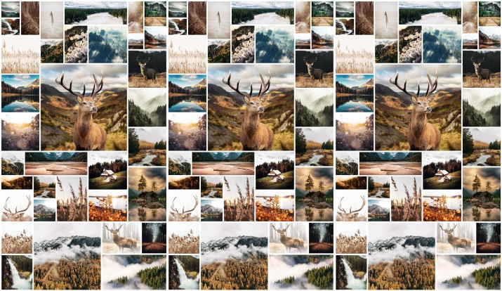 Fototapeta na ścianę Natura - kolaż zdjęć leśnych pejzaży 21212 - zdjęcie 2