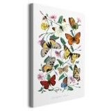 Obraz Motyle i ćmy - reprodukcja malarstwa Paula Gervaisa 92045 Naklejkomania - zdjecie 2 - miniatura