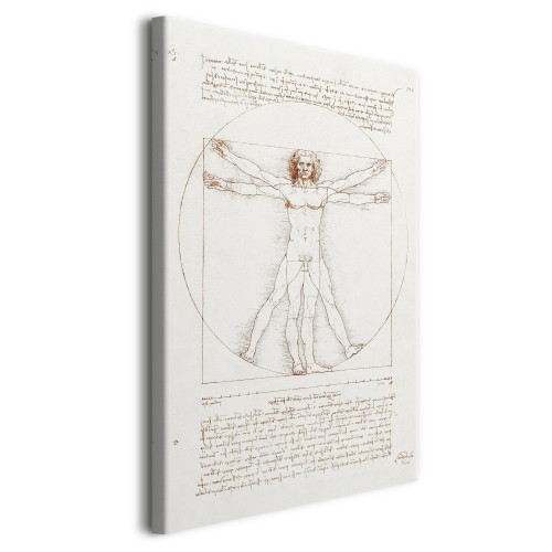 Obraz Człowiek witruwiański - reprodukcja rysunku Leonarda da Vinci ego 92062 - zdjęcie 2