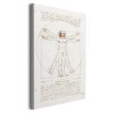 Obraz Człowiek witruwiański - reprodukcja rysunku Leonarda da Vinci ego 92062 Naklejkomania - zdjecie 2 - miniatura