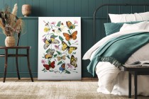 Obraz Motyle i ćmy - reprodukcja malarstwa Paula Gervaisa 92045 Naklejkomania - zdjecie 3 - miniatura