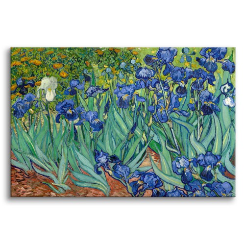 Obraz Irysy - reprodukcja malunku kwiatów Vincenta Van Gogha 92082 Naklejkomania - zdjecie 1