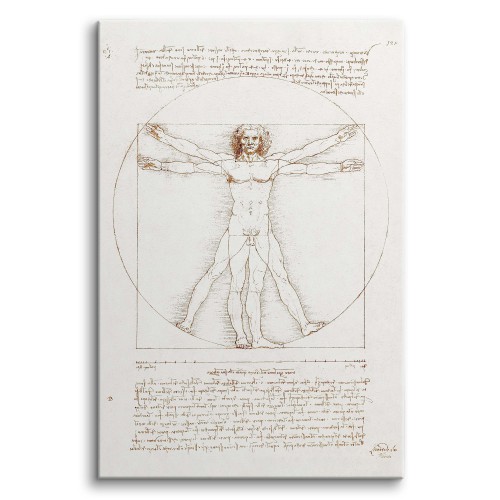 Obraz Człowiek witruwiański - reprodukcja rysunku Leonarda da Vinci ego 92062 Naklejkomania - zdjecie 1