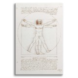 Obraz Człowiek witruwiański - reprodukcja rysunku Leonarda da Vinci ego 92062 Naklejkomania - zdjecie 1 - miniatura