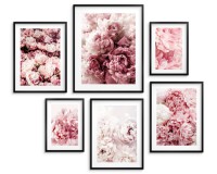 Zestaw plakatów Bladoróżowe kwiaty - bukiety delikatnych pięknych piwonii 91022 Naklejkomania - zdjecie 1 - miniatura