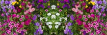 osłona dekoracyjna na płot, siatka mesh kwiaty ozdobne 67234 Naklejkomania - zdjecie 2 - miniatura