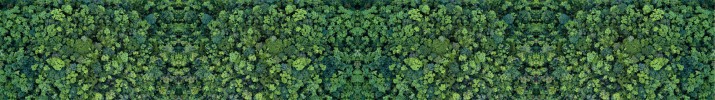 siatka na ogrodzenie, siatka mesh kwiaty brokułu 67296 - zdjęcie 2