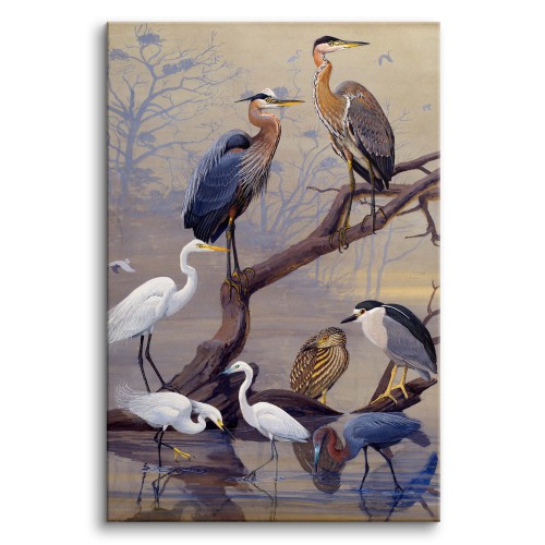 Żurawie - reprodukcja grafiki ptaków na rzece, Louis Agassiz Fuertes 92097 Naklejkomania - zdjecie 1