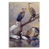 Żurawie - reprodukcja grafiki ptaków na rzece, Louis Agassiz Fuertes 92097 Naklejkomania - zdjecie 1 - miniatura