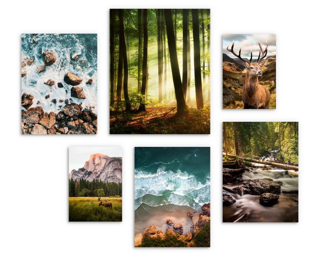 Zestaw plakatów Natura w pejzażach - las, woda, góry i zwierzęta 91032 - zdjęcie 4