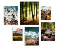Zestaw plakatów Natura w pejzażach - las, woda, góry i zwierzęta 91032 Naklejkomania - zdjecie 4 - miniatura