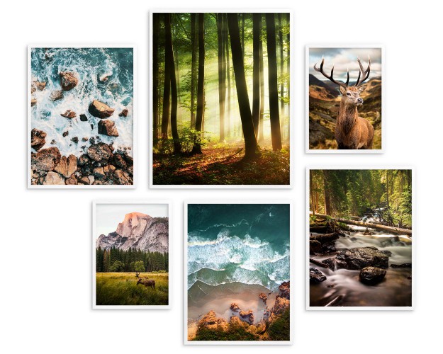 Zestaw plakatów Natura w pejzażach - las, woda, góry i zwierzęta 91032 - zdjęcie 5