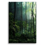 Obraz na ścianę Wnętrze lasu - zielona przyroda, drzewa i mgła  92138 Naklejkomania - zdjecie 1 - miniatura