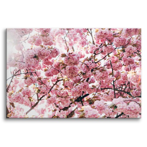 Obraz na ścianę Delikatne piękno - różowe wiosenne kwiaty na gałęziach drzew 92140