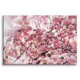 Obraz na ścianę Delikatne piękno - różowe wiosenne kwiaty na gałęziach drzew 92140 Naklejkomania - zdjecie 1 - miniatura