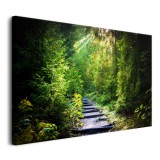 Obraz na ścianę Leśna ścieżka - droga między zielonymi drzewami 92122 Naklejkomania - zdjecie 2 - miniatura
