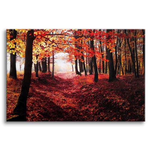 Obraz na ścianę Jesień w lesie - ścieżka z czerwonych liści wśród drzew 92114 Naklejkomania - zdjecie 1