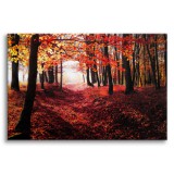 Obraz na ścianę Jesień w lesie - ścieżka z czerwonych liści wśród drzew 92114 Naklejkomania - zdjecie 1 - miniatura