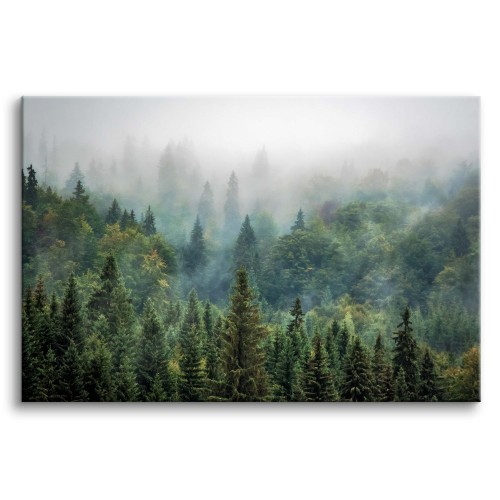 WYPRZEDAŻ 100X150 Obraz na płótnie  Las we mgle - naturalny krajobraz zielonych drzew o poranku 92131