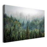Obraz na płótnie  Las we mgle - naturalny krajobraz zielonych drzew o poranku 92131 Naklejkomania - zdjecie 2 - miniatura