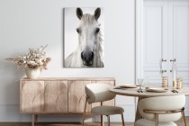 Obraz na płótnie Biały koń - zdjęcie zwierzęcia z bliska 92135 Naklejkomania - zdjecie 3 - miniatura