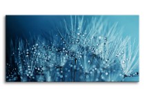 Obraz na ścianę Rosa na dmuchawcach - krople wody i rośliny w błękicie 92119 Naklejkomania - zdjecie 1 - miniatura