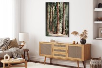 Obraz na ścianę Wysokie drzewa - przyrodniczy krajobraz zielonego lasu 92137 Naklejkomania - zdjecie 3 - miniatura