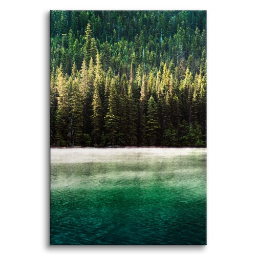 Obraz na ścianę Zielony las nad jeziorem 92154