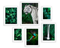 Zestaw plakatów Egzotyczna natura w barwach zieleni 23161 Naklejkomania - zdjecie 3 - miniatura