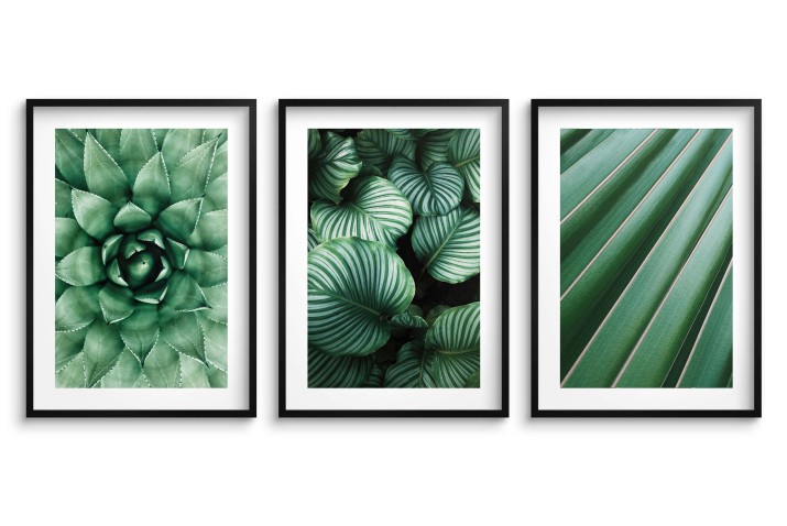 Zestaw trzech plakatów ozdobnych na ścianę Rośliny - estetyczne zielone liście 91037 Naklejkomania - zdjecie 1