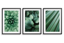 WYPRZEDAŻ 30X40 Zestaw trzech plakatów ozdobnych na ścianę Rośliny - estetyczne zielone liście 91037 Naklejkomania - zdjecie 1 - miniatura