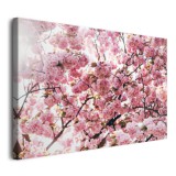 Obraz na ścianę Delikatne piękno - różowe wiosenne kwiaty na gałęziach drzew 92140 Naklejkomania - zdjecie 2 - miniatura