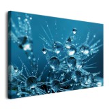 Obraz na ścianę Błękitna rosa - krople deszczu na dmuchawcach 92152 Naklejkomania - zdjecie 2 - miniatura