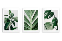 Zestaw trzech plakatów ozdobnych na ścianę Estetyczne rośliny - zielone liście, natura 91039 Naklejkomania - zdjecie 2 - miniatura