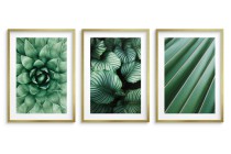WYPRZEDAŻ 50X70 Zestaw trzech plakatów ozdobnych na ścianę Rośliny - estetyczne zielone liście 91037 Naklejkomania - zdjecie 4 - miniatura
