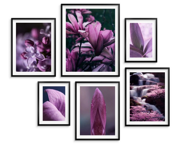 Zestaw plakatów Natura w odcieniach fioletu 23162 Naklejkomania - zdjecie 1