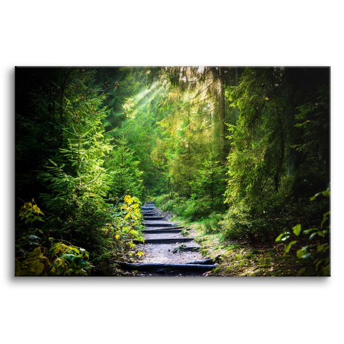 Obraz na ścianę Leśna ścieżka - droga między zielonymi drzewami 92122 Naklejkomania - zdjecie 1