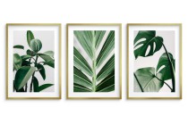 Zestaw trzech plakatów ozdobnych na ścianę Estetyczne rośliny - zielone liście, natura 91039 Naklejkomania - zdjecie 4 - miniatura