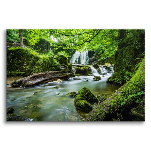 Obraz na ścianę Zielona natura - leśny krajobraz z wodospadem i strumykiem 92127