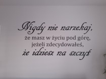 Opinia od Aleksandra