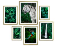 Zestaw plakatów Egzotyczna natura w barwach zieleni 23161 Naklejkomania - zdjecie 4 - miniatura