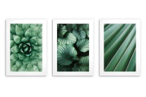 WYPRZEDAŻ 30X40 Zestaw trzech plakatów ozdobnych na ścianę Rośliny - estetyczne zielone liście 91037 Naklejkomania - zdjecie 2 - miniatura