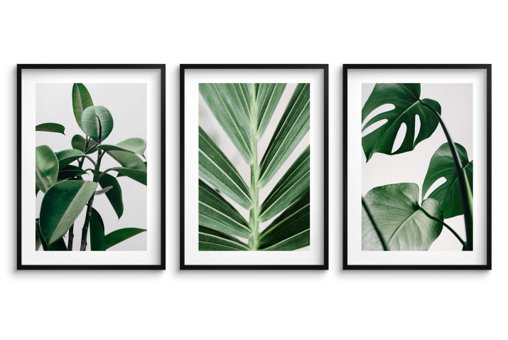 Zestaw trzech plakatów ozdobnych na ścianę Estetyczne rośliny - zielone liście, natura 91039 Naklejkomania - zdjecie 1