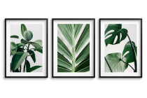 Zestaw trzech plakatów ozdobnych na ścianę Estetyczne rośliny - zielone liście, natura 91039 Naklejkomania - zdjecie 1 - miniatura