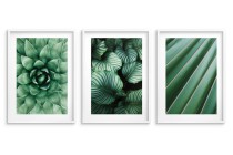 WYPRZEDAŻ 30X40 Zestaw trzech plakatów ozdobnych na ścianę Rośliny - estetyczne zielone liście 91037 Naklejkomania - zdjecie 3 - miniatura