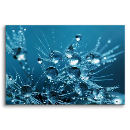 Obraz na ścianę Błękitna rosa - krople deszczu na dmuchawcach 92152 Naklejkomania - zdjecie 1