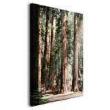 Obraz na ścianę Wysokie drzewa - przyrodniczy krajobraz zielonego lasu 92137 Naklejkomania - zdjecie 2 - miniatura